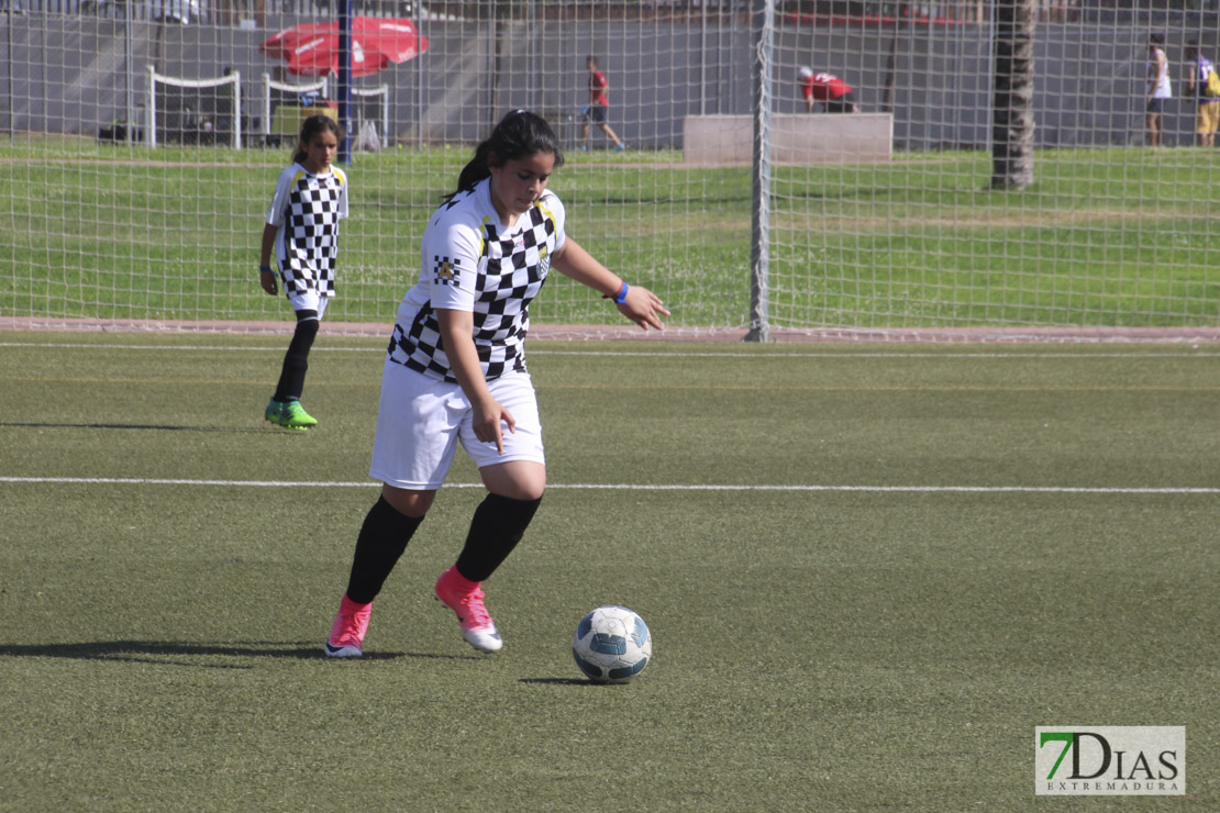 Imágenes de la VII Women&#39;s Cup II