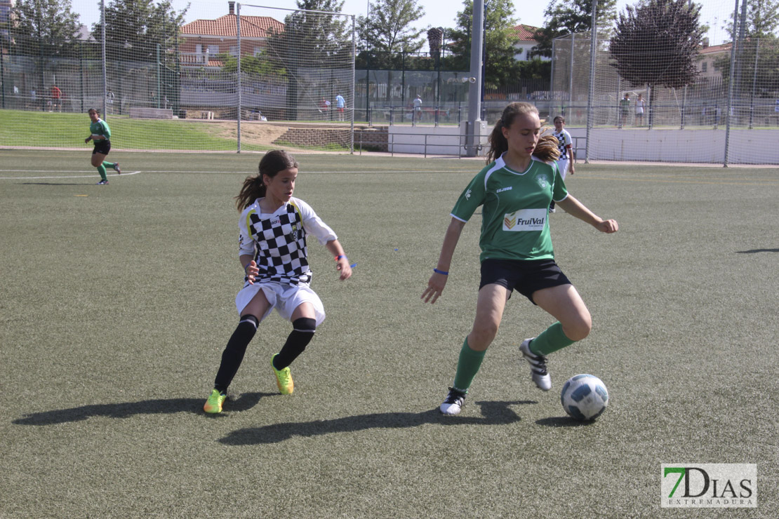 Imágenes de la VII Women&#39;s Cup II