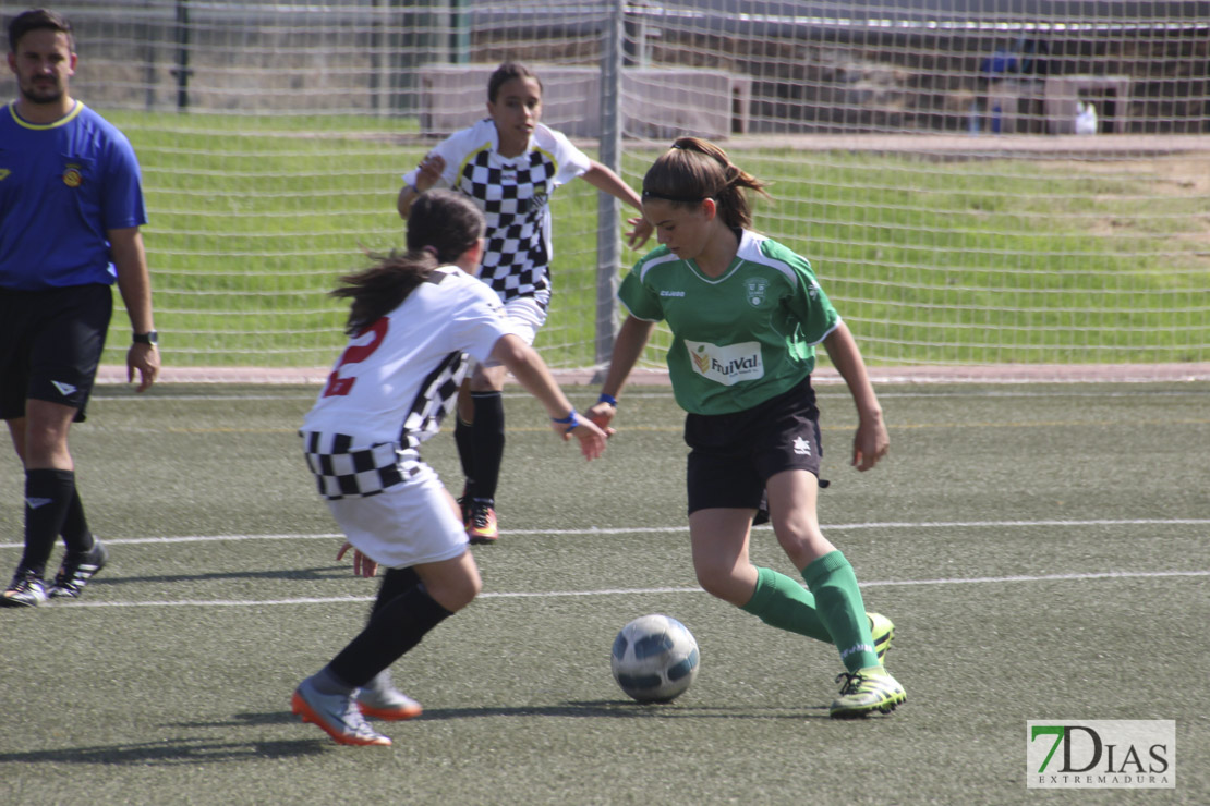 Imágenes de la VII Women&#39;s Cup II