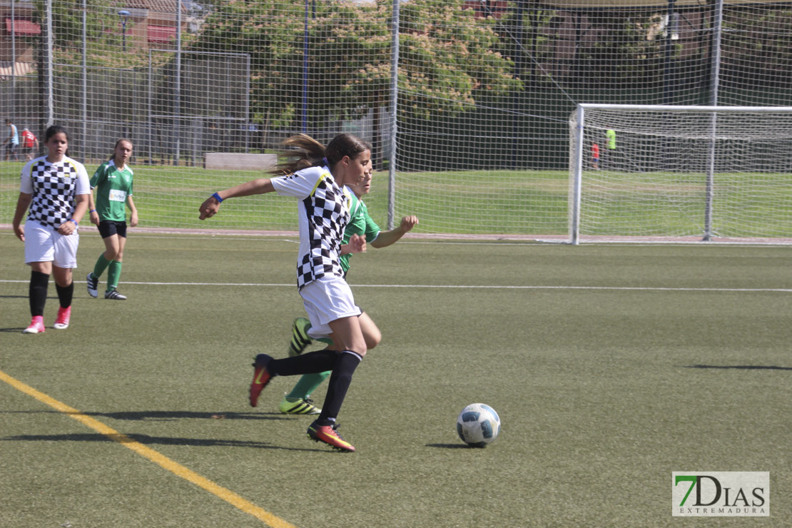 Imágenes de la VII Women&#39;s Cup II