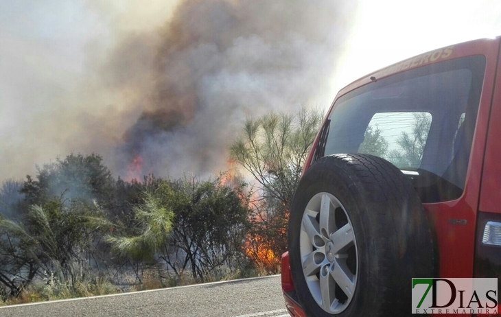 Los bomberos extinguen un incendio declarado en Los Ibores (Cáceres)