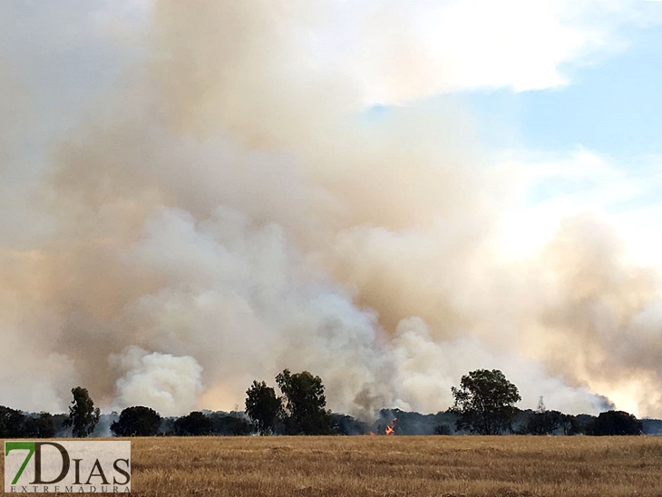 Importante incendio afecta a San Isidro (Badajoz)