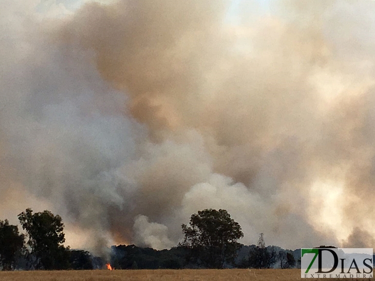 Importante incendio afecta a San Isidro (Badajoz)