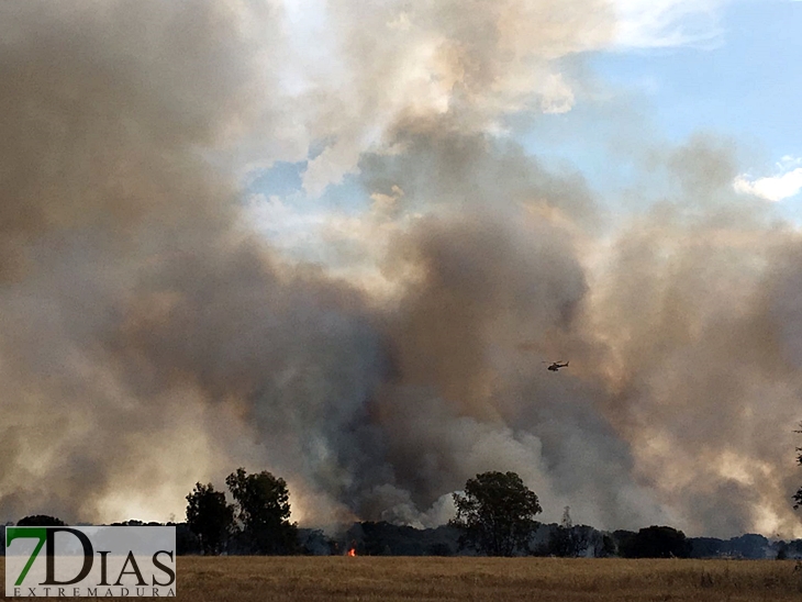 Importante incendio afecta a San Isidro (Badajoz)