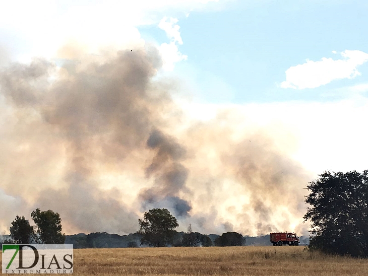 Importante incendio afecta a San Isidro (Badajoz)