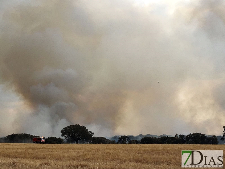 Importante incendio afecta a San Isidro (Badajoz)