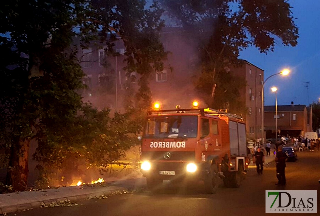 Un incendio en Las Moreras alcanza la avenida de Elvas