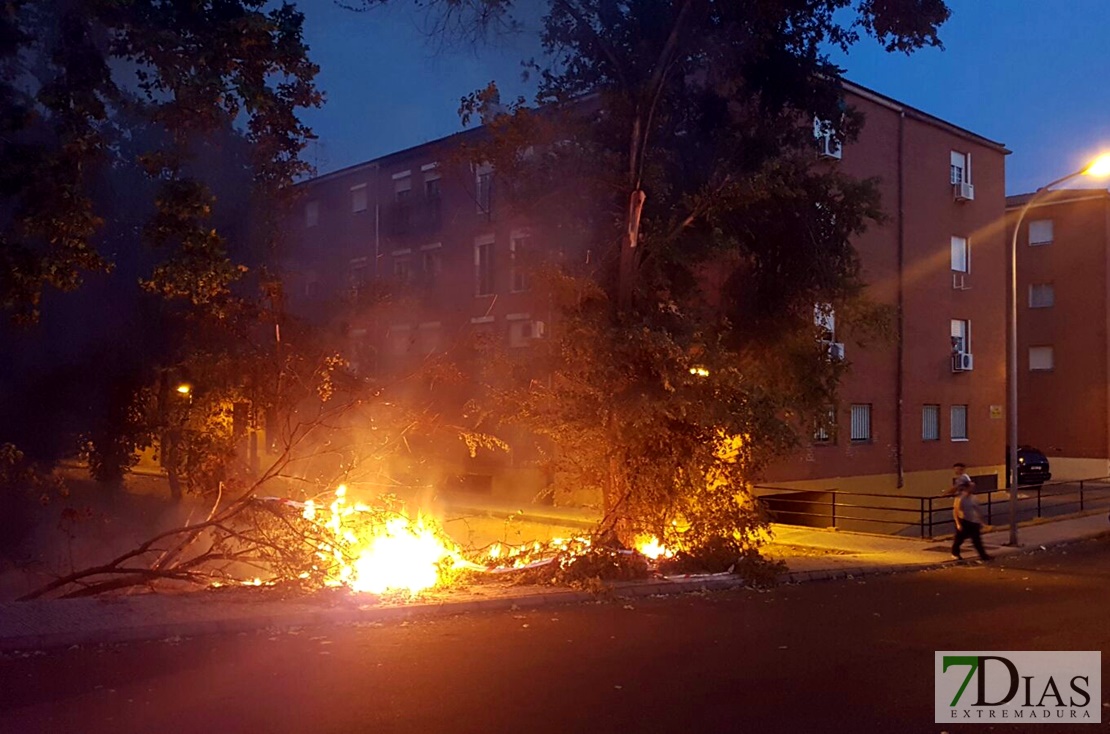 Un incendio en Las Moreras alcanza la avenida de Elvas