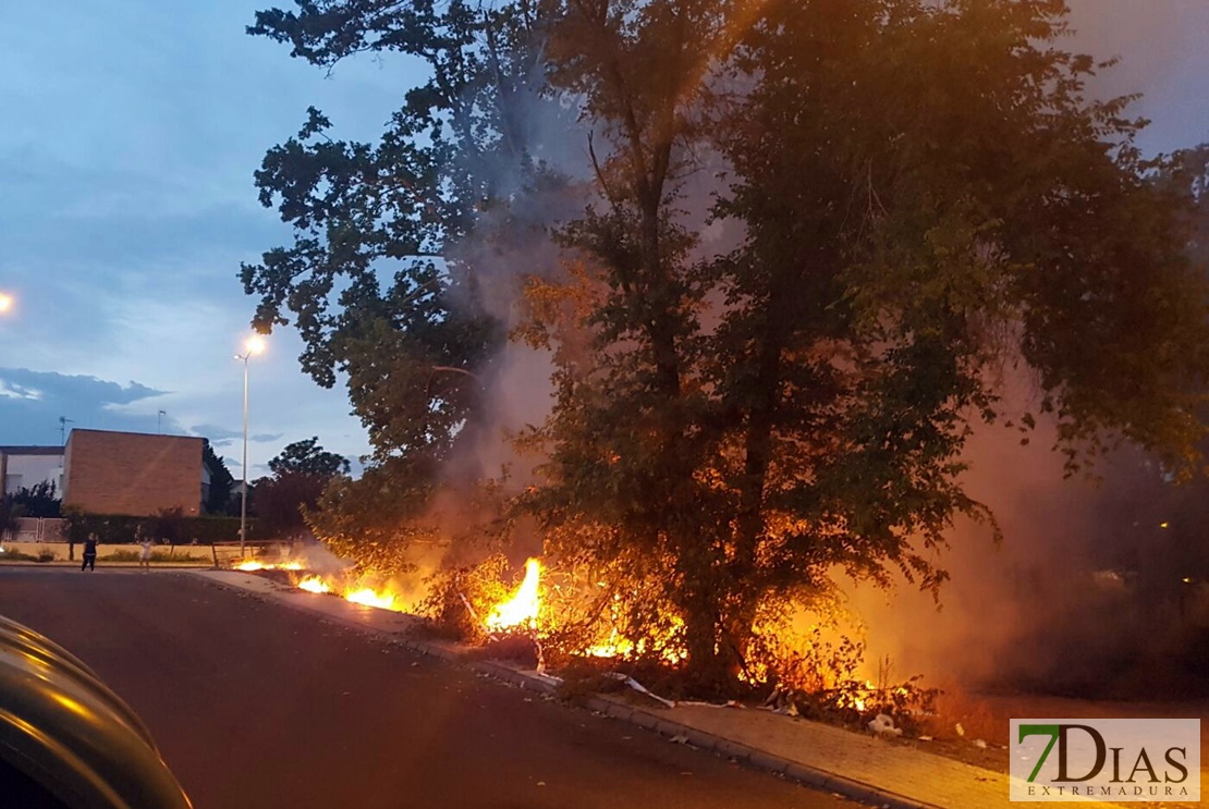 Un incendio en Las Moreras alcanza la avenida de Elvas