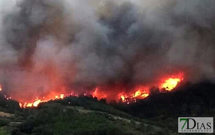 Dos incendios activos durante la madrugada en Extremadura