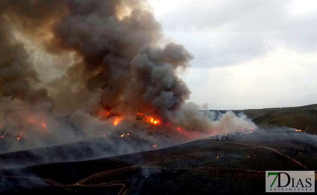 Dos incendios activos durante la madrugada en Extremadura