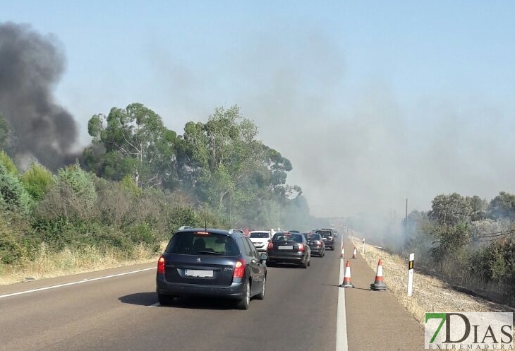 INFOEX: Nivel 1 de peligrosidad por un incendio a las afueras de Badajoz
