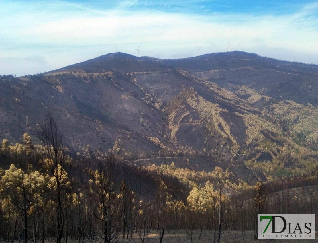 Los efectivos extremeños ya trabajan en el incendio de Portugal