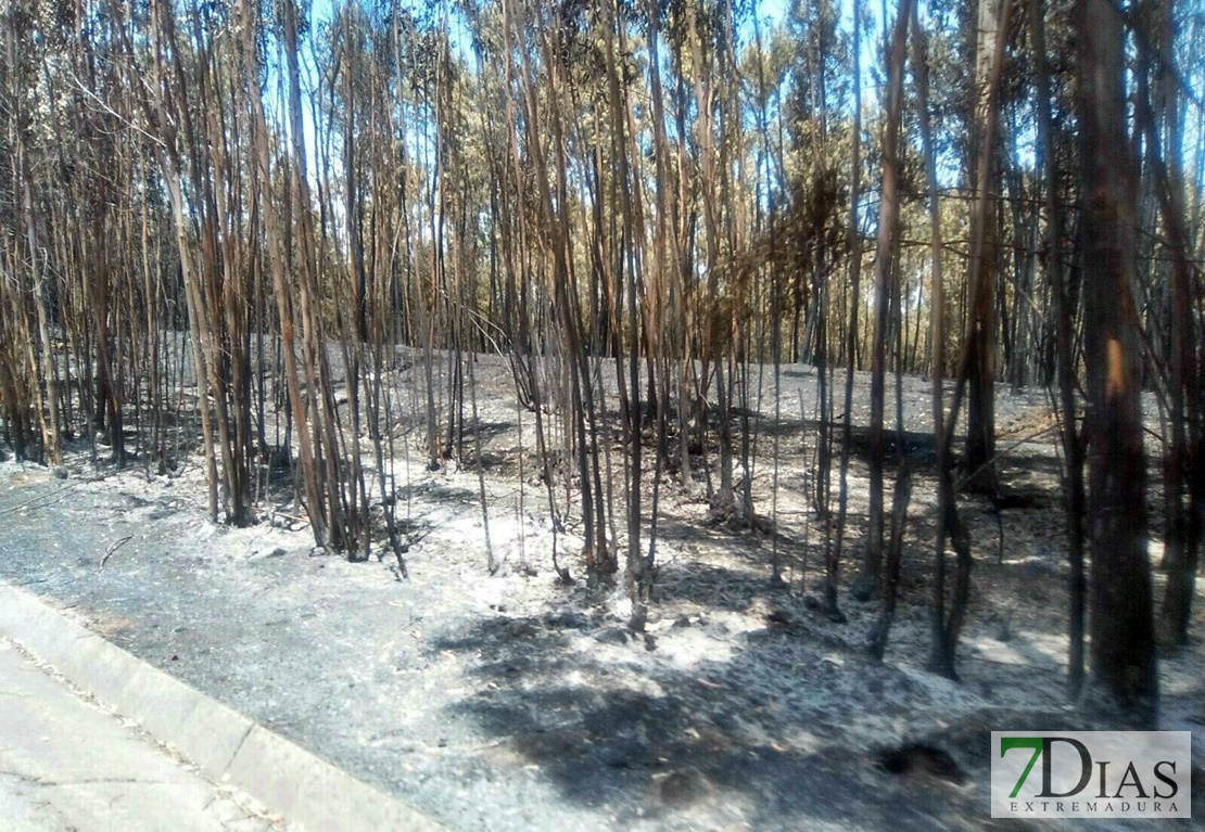 Los efectivos extremeños ya trabajan en el incendio de Portugal