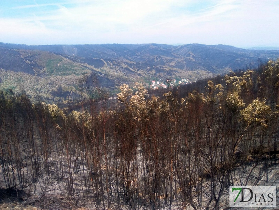 Los efectivos extremeños ya trabajan en el incendio de Portugal