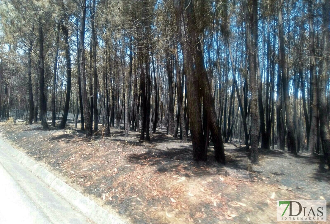 Los efectivos extremeños ya trabajan en el incendio de Portugal