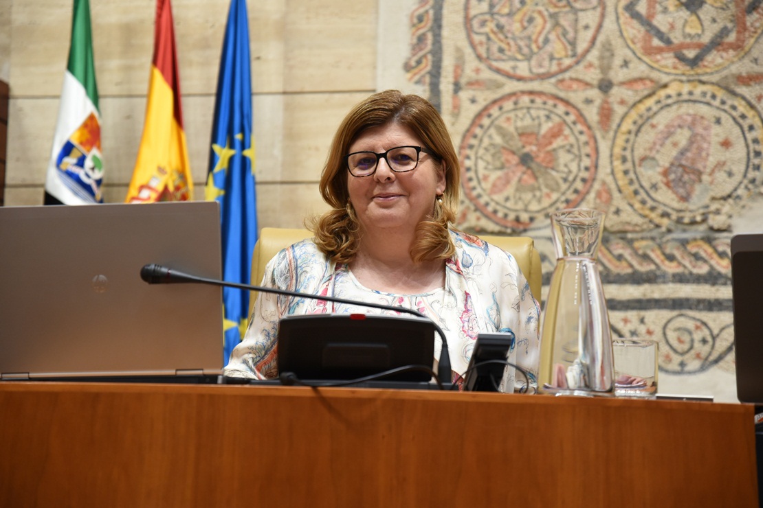 Cs reclama una Secretaría para la Violencia de Género en Extremadura