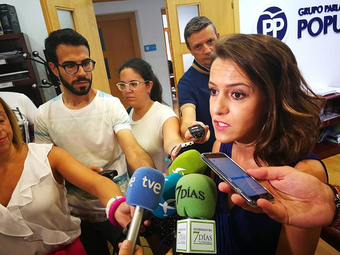 PP: “La Junta suprime el Consultivo pero crea otro órgano opaco”