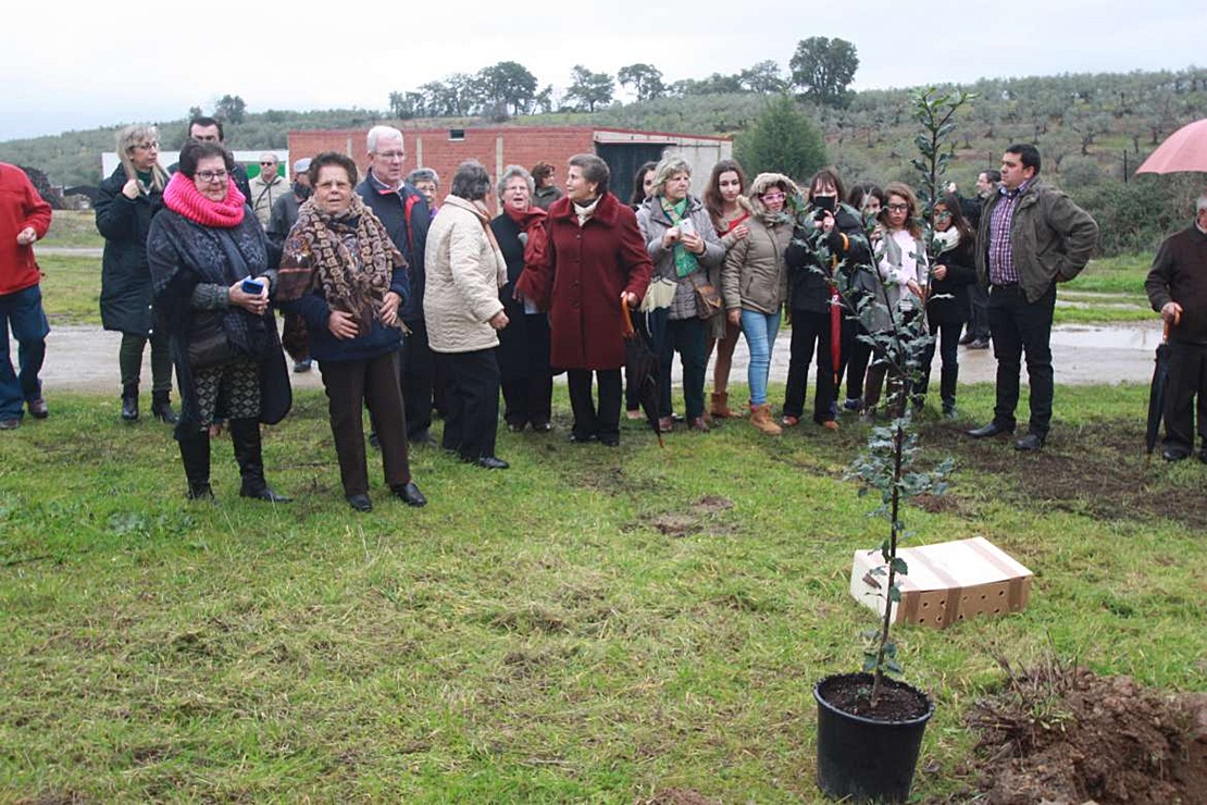 La Fiesta del Árbol de Villanueva de la Sierra ya es Bien de Interés Cultural