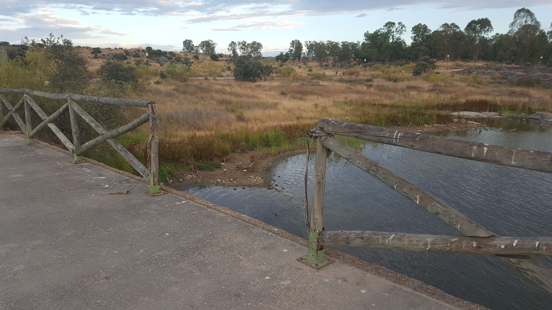 Denuncian el estado de abandono de Proserpina