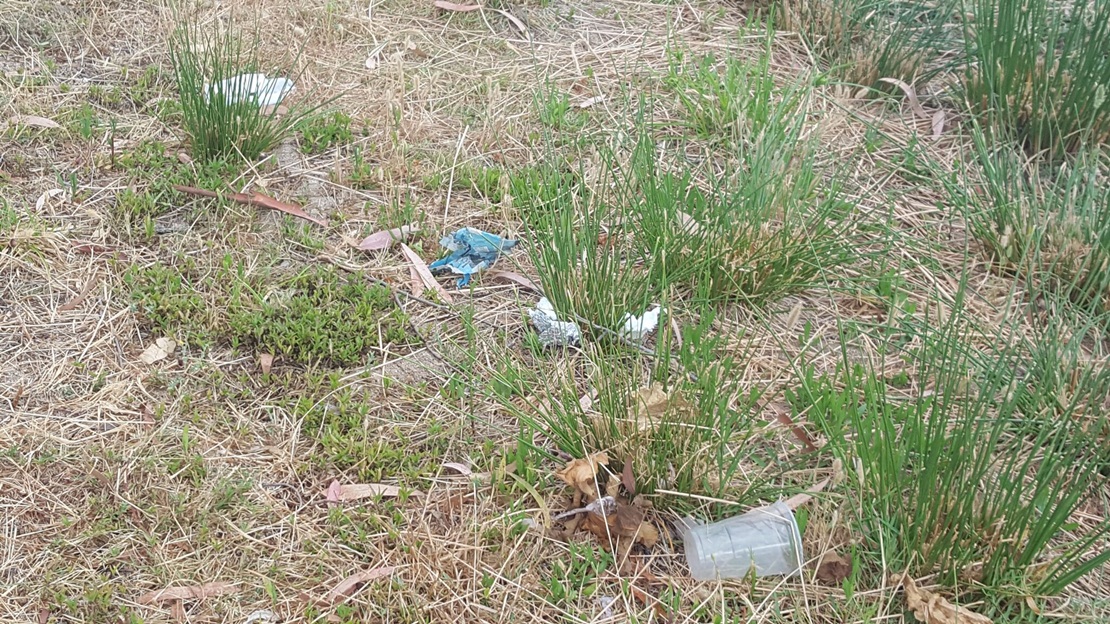 Denuncian el estado de abandono de Proserpina