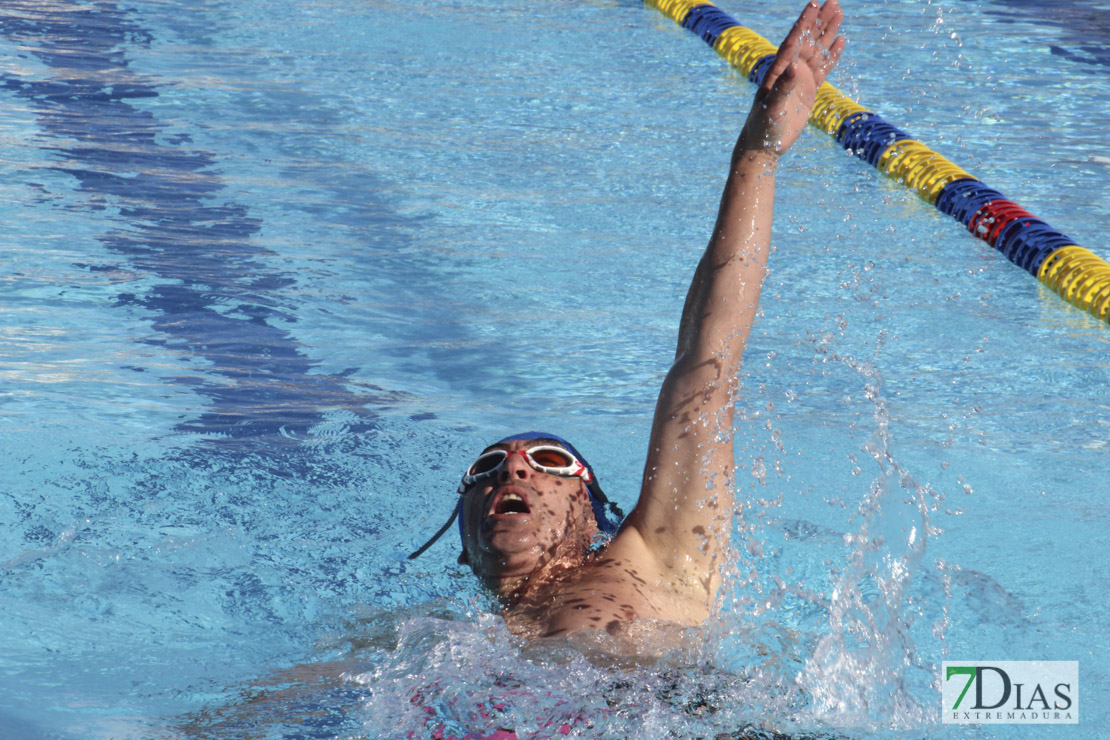 Imágenes del 3º día del nacional de natación master en Badajoz