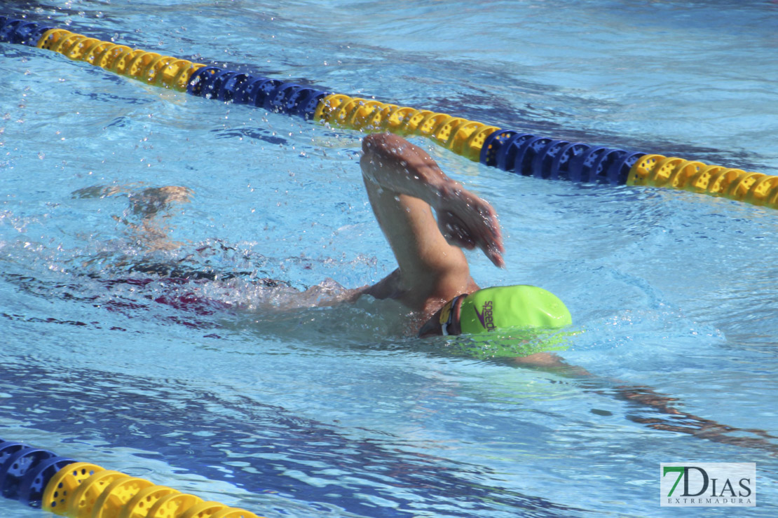 Imágenes del 3º día del nacional de natación master en Badajoz