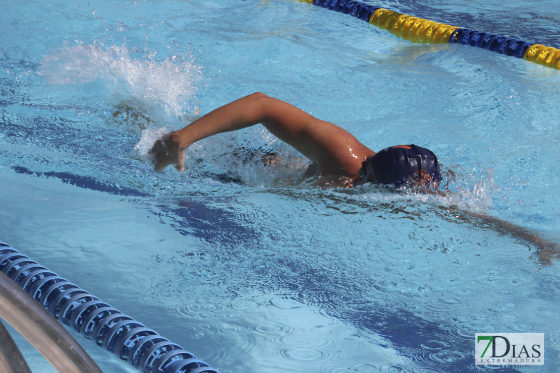 Imágenes del 3º día del nacional de natación master en Badajoz