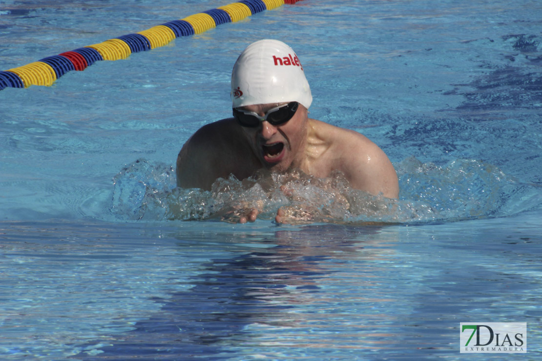 Imágenes del 3º día del nacional de natación master en Badajoz