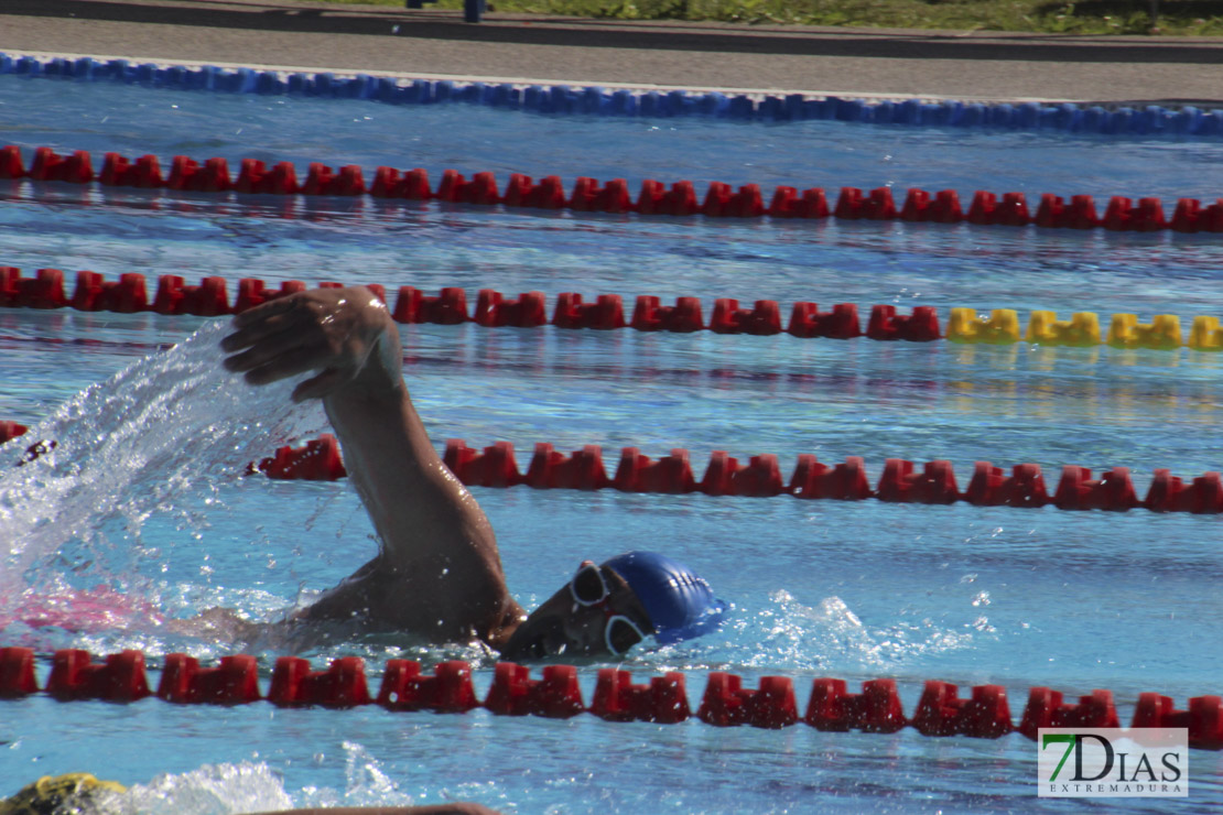 Imágenes del 3º día del nacional de natación master en Badajoz