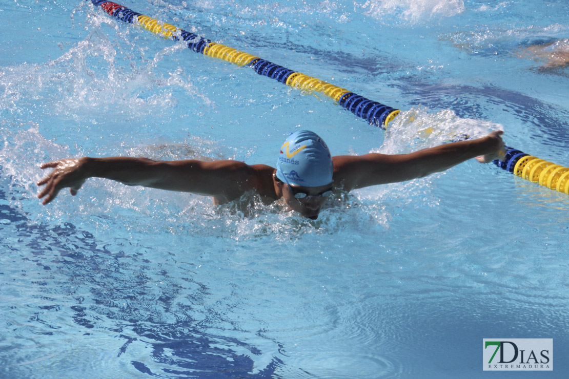 Imágenes del 3º día del nacional de natación master en Badajoz I