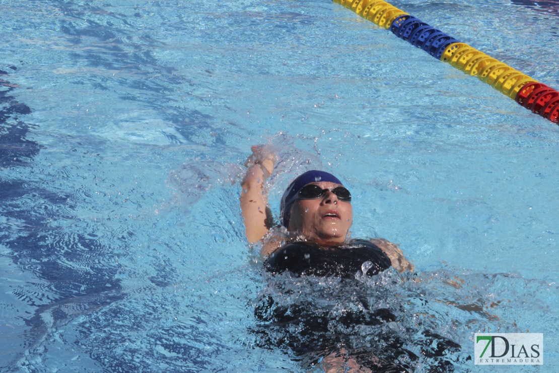 Imágenes del 3º día del nacional de natación master en Badajoz I