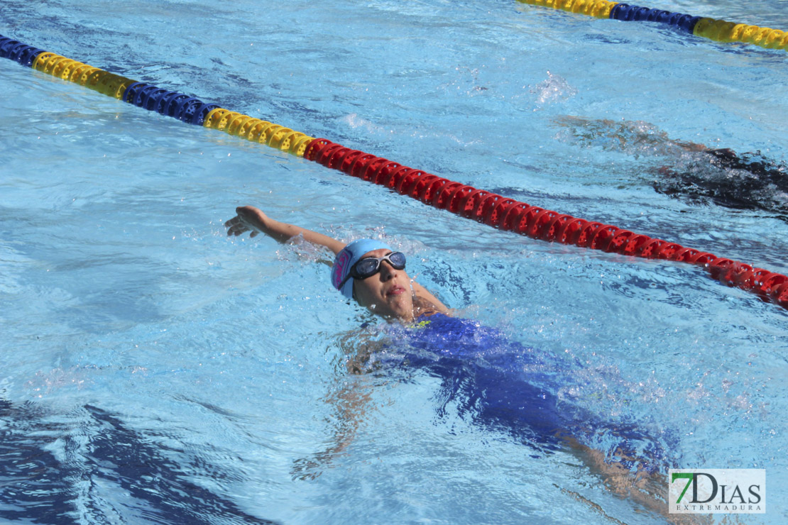 Imágenes del 3º día del nacional de natación master en Badajoz I