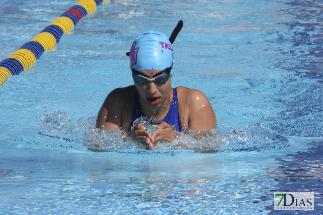 Imágenes del 3º día del nacional de natación master en Badajoz I