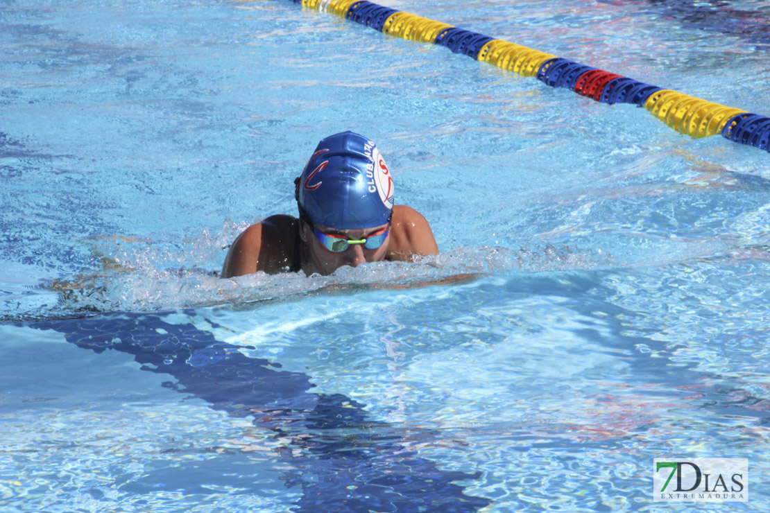 Imágenes del 3º día del nacional de natación master en Badajoz I