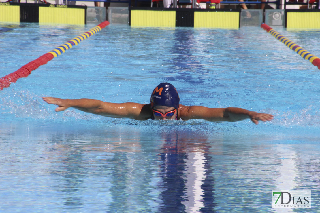 Imágenes del 3º día del nacional de natación master en Badajoz I