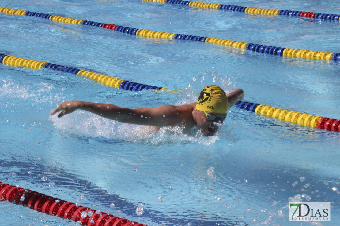 Imágenes del 3º día del nacional de natación master en Badajoz I