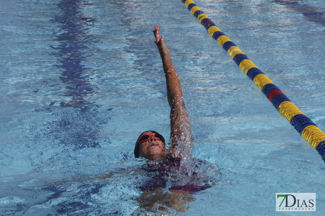 Imágenes del 3º día del nacional de natación master en Badajoz I