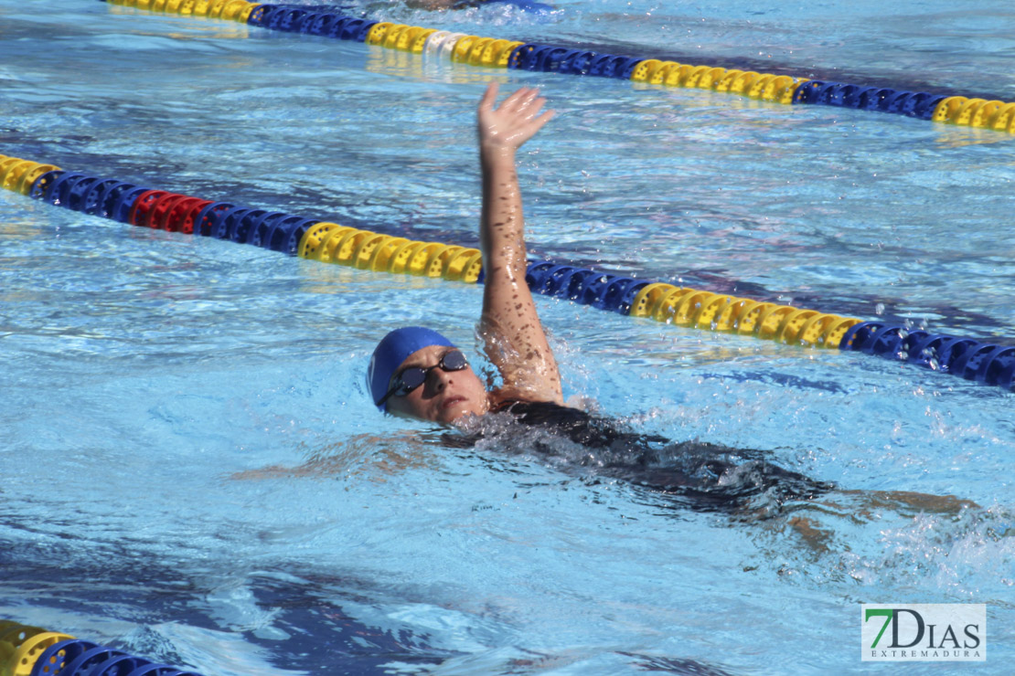 Imágenes del 3º día del nacional de natación master en Badajoz I