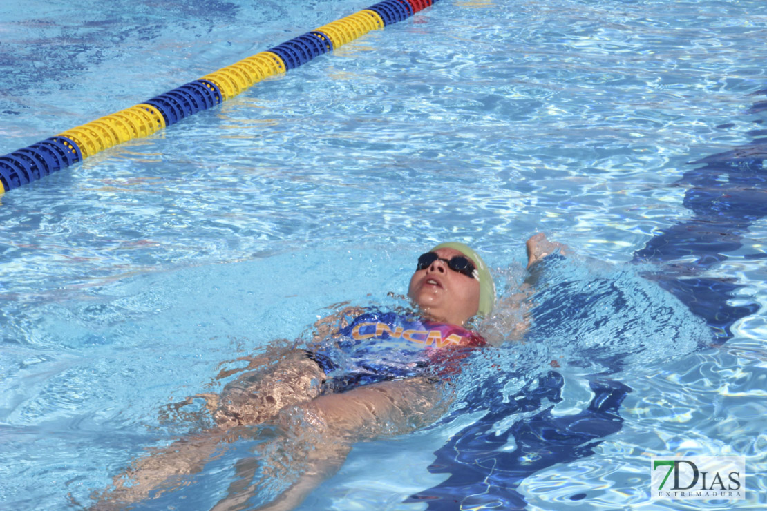 Imágenes del 3º día del nacional de natación master en Badajoz I