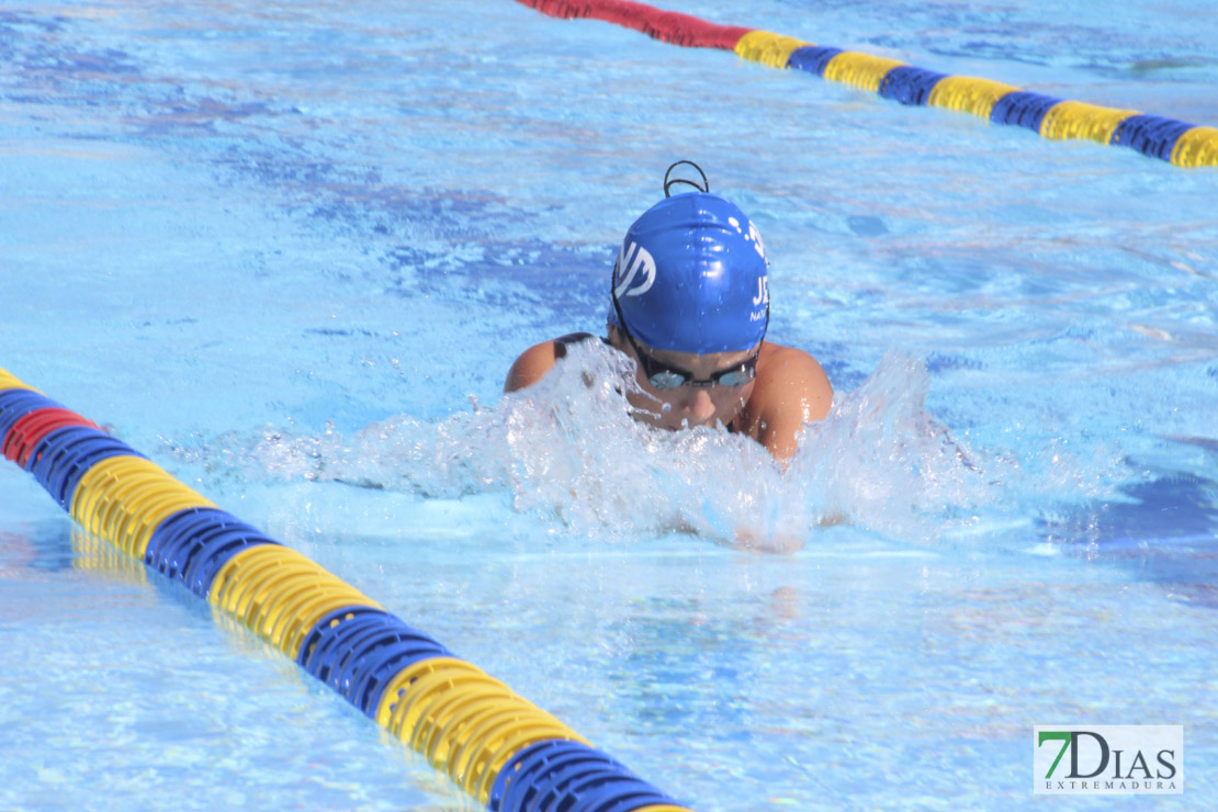 Imágenes del 3º día del nacional de natación master en Badajoz I