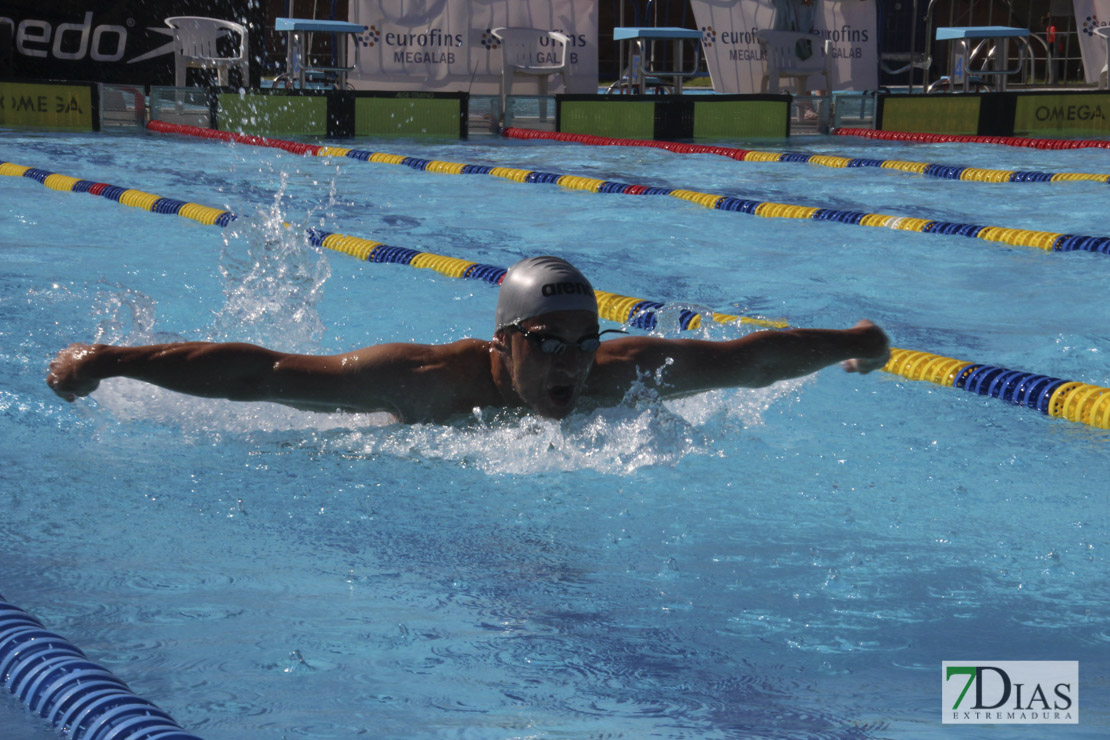 Imágenes del 3º día del nacional de natación master en Badajoz I