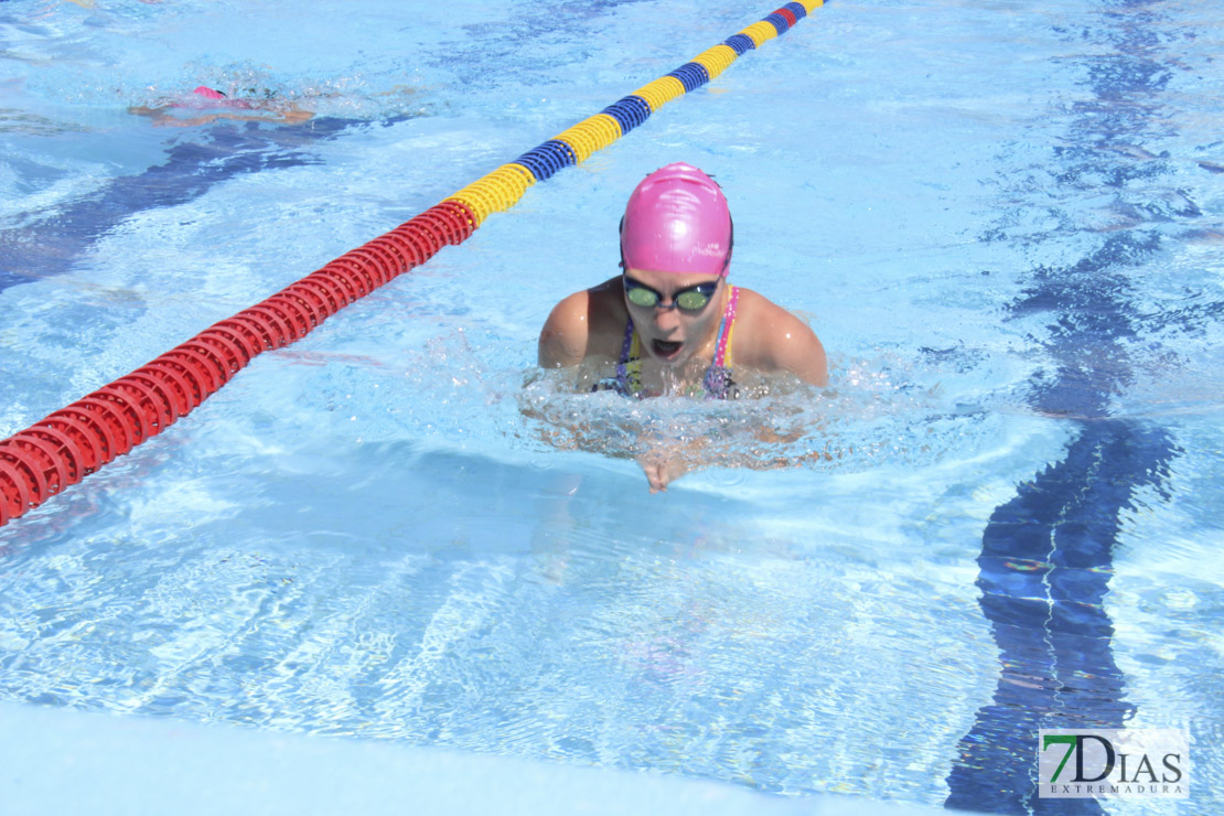 Imágenes del 3º día del nacional de natación master en Badajoz I