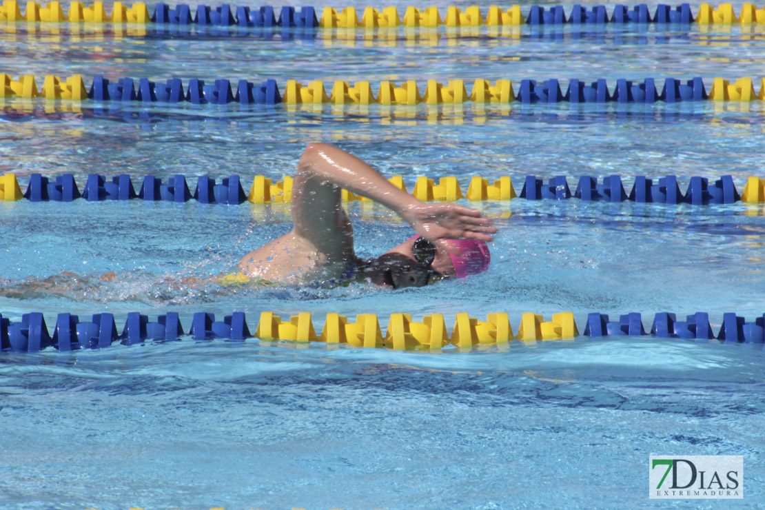 Imágenes del 3º día del nacional de natación master en Badajoz I