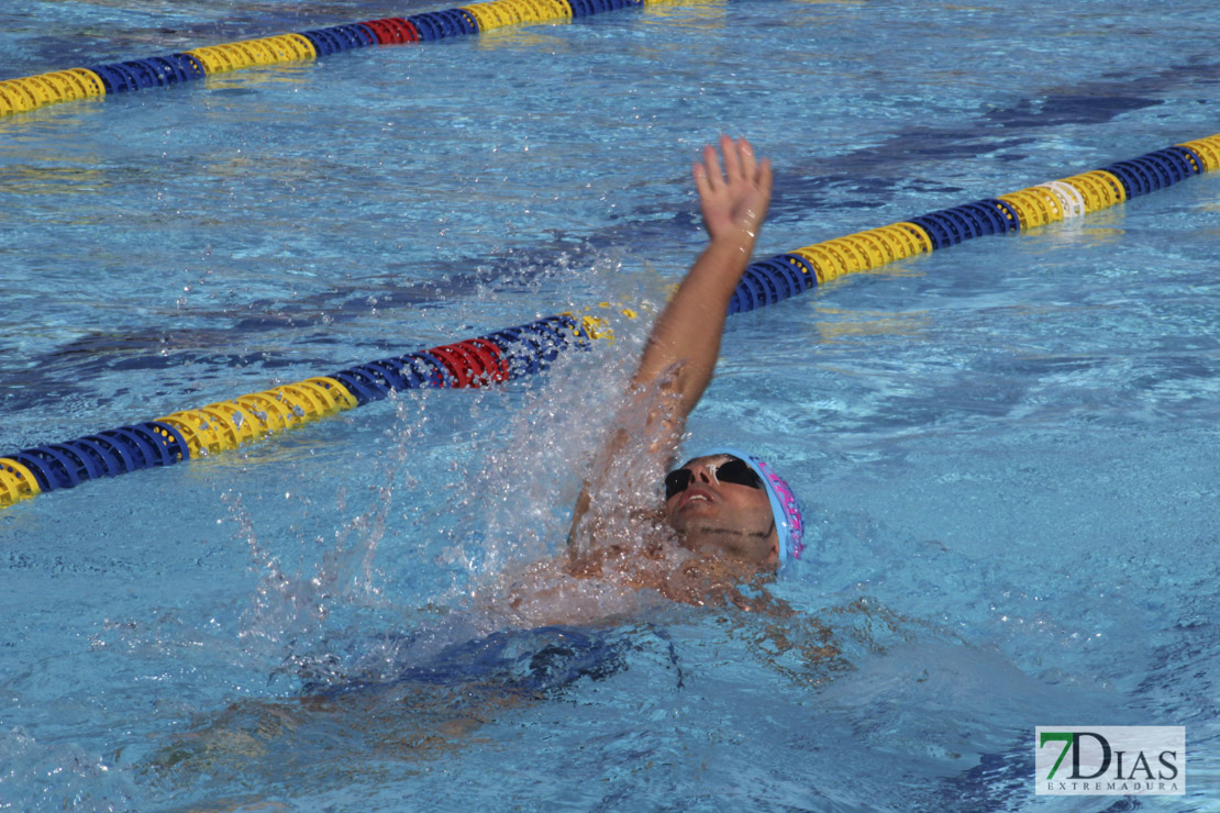 Imágenes del 3º día del nacional de natación master en Badajoz I