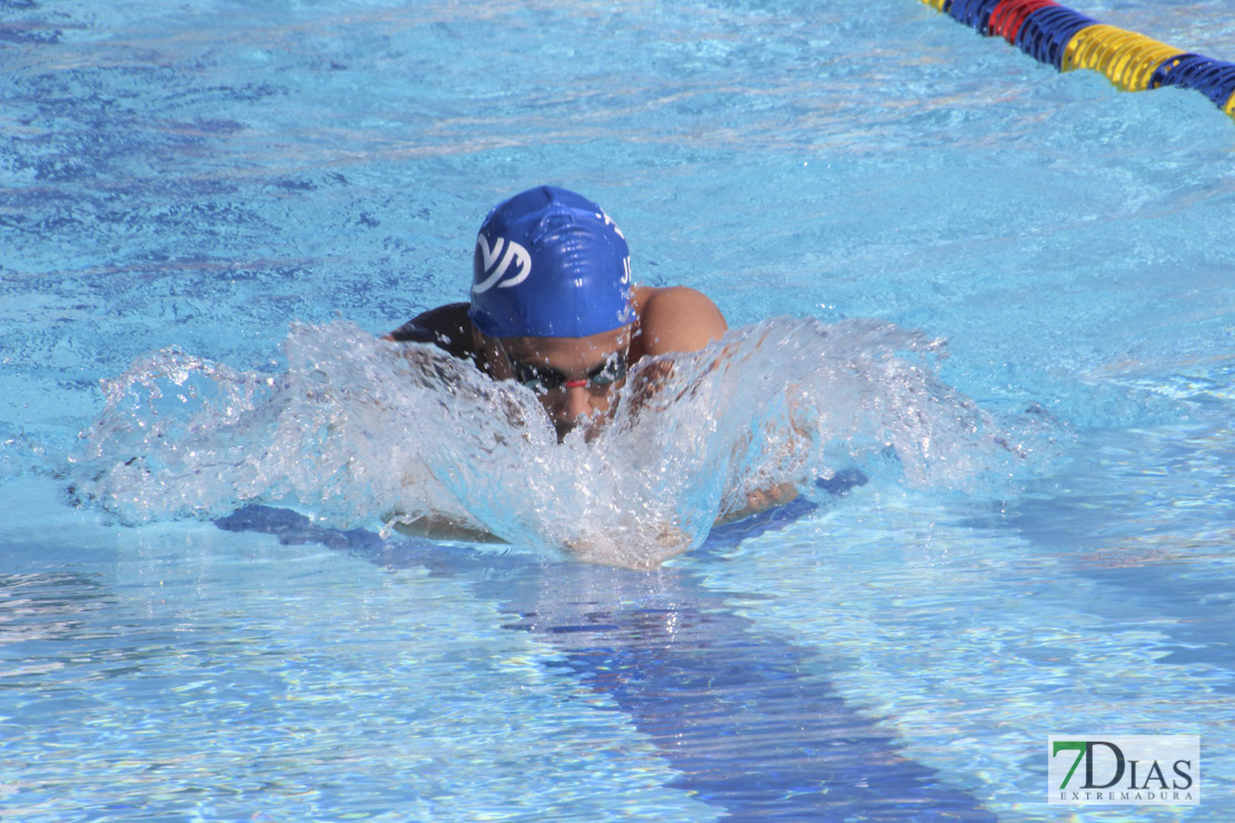 Imágenes del 3º día del nacional de natación master en Badajoz II