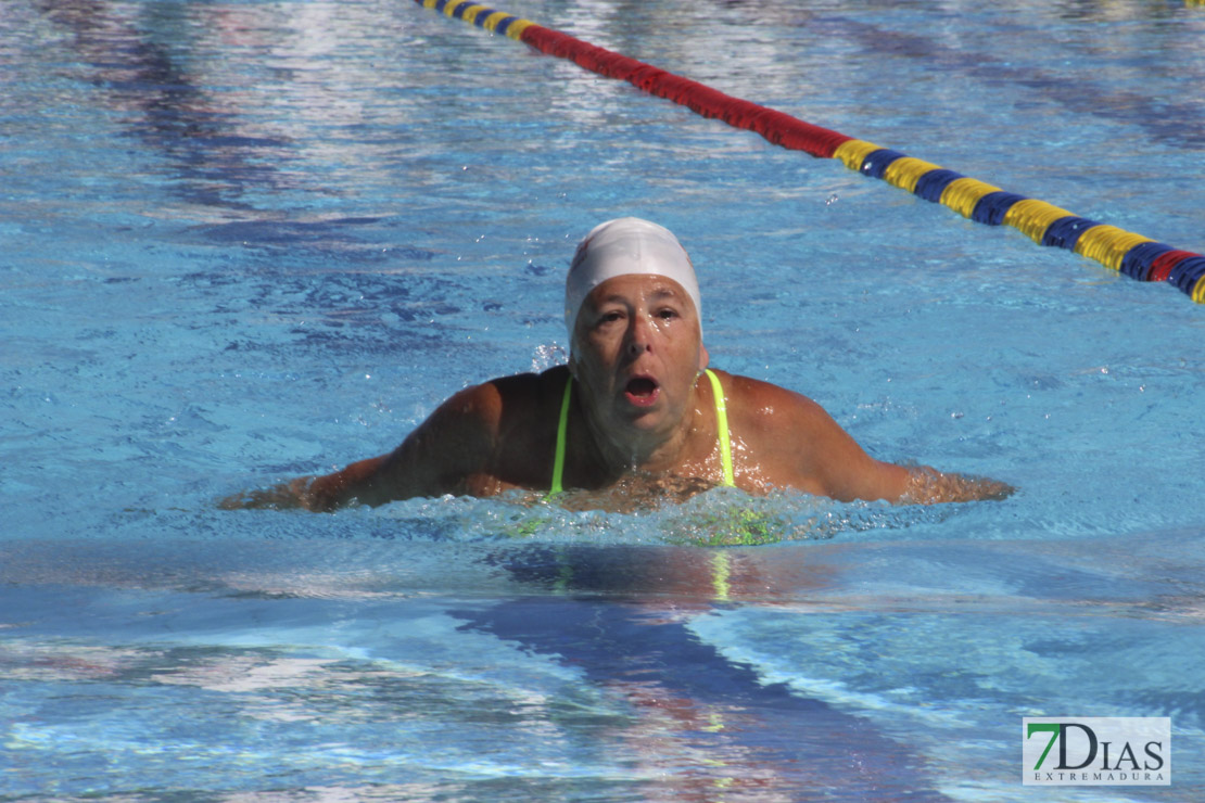 Imágenes del 3º día del nacional de natación master en Badajoz I