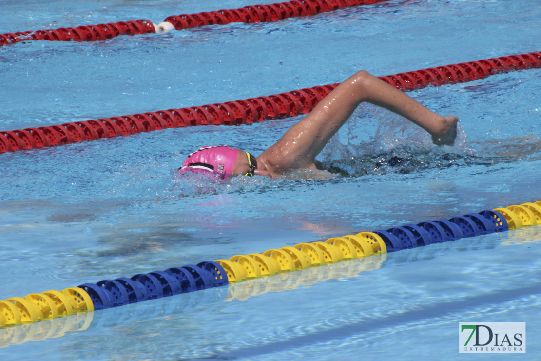 Imágenes de la última jornada del nacional master de natación