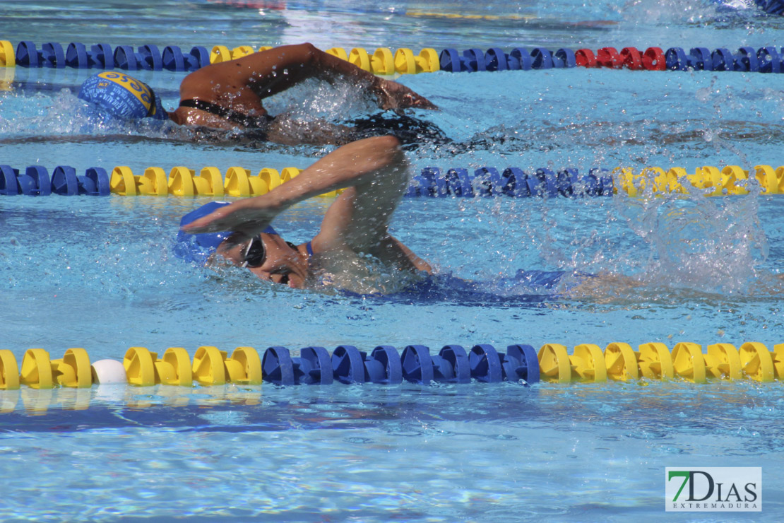 Imágenes de la última jornada del nacional master de natación