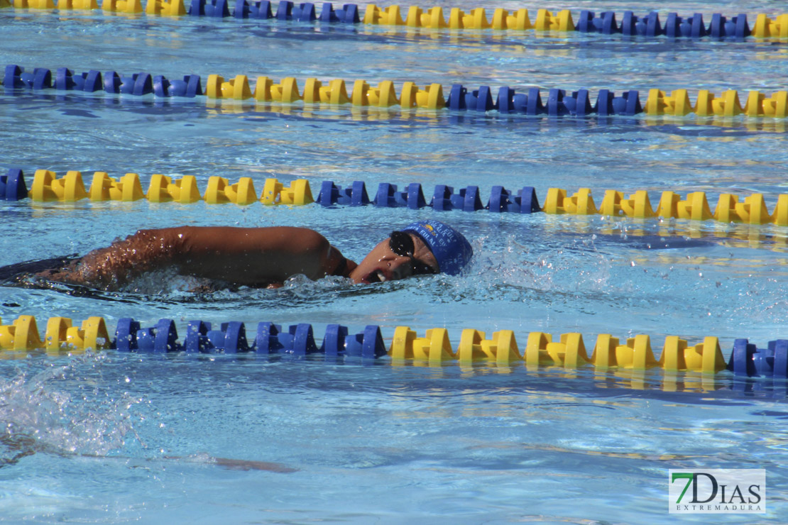 Imágenes de la última jornada del nacional master de natación